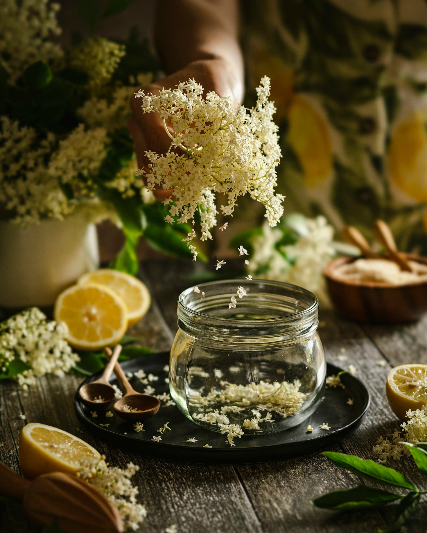 How Homeopathy Can Support Your Wellness Journey