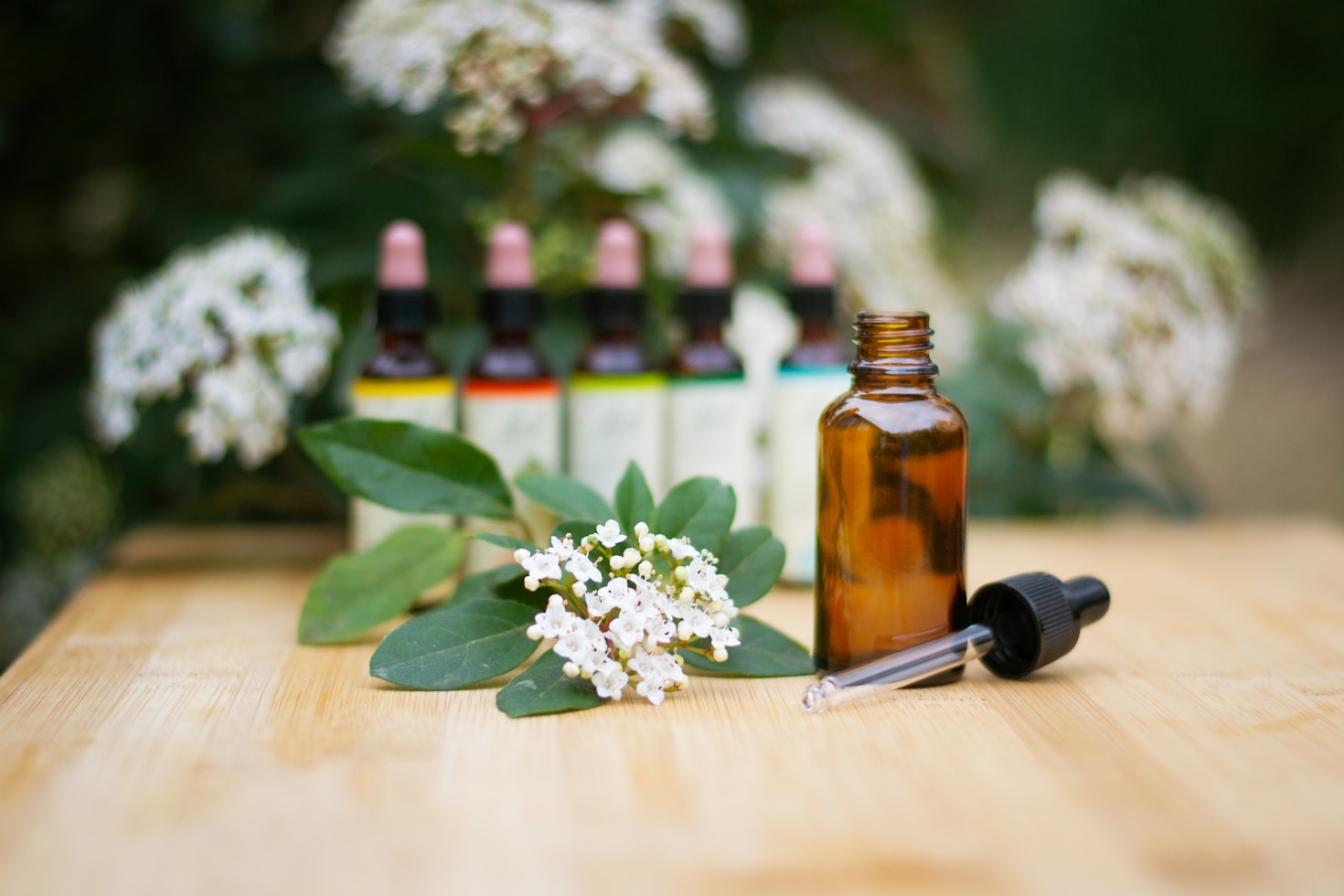 The Role of Homeopathy in Everyday Wellness