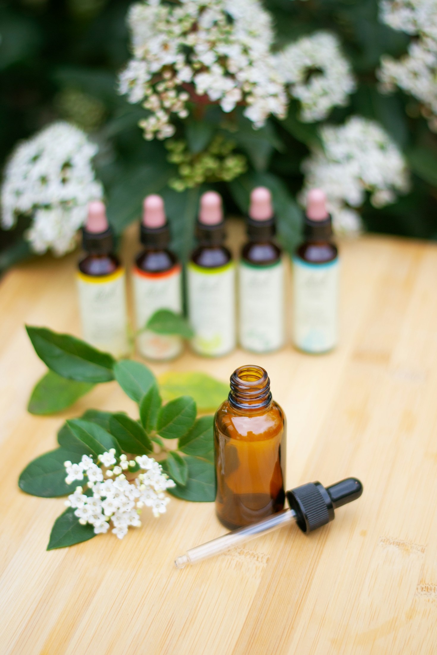 Personalized Homeopathic Care: What You Need to Know